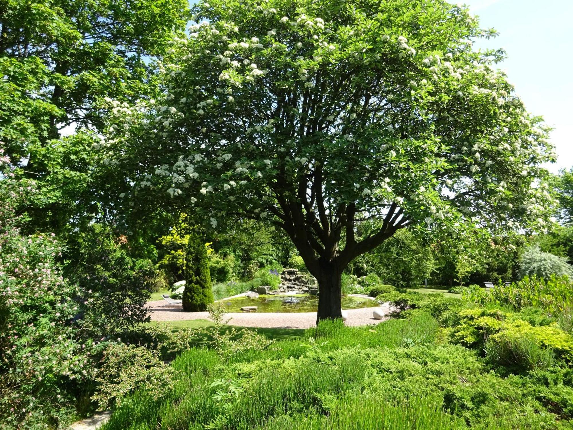 Solrosen I Simrishamn - Oesterlen ภายนอก รูปภาพ