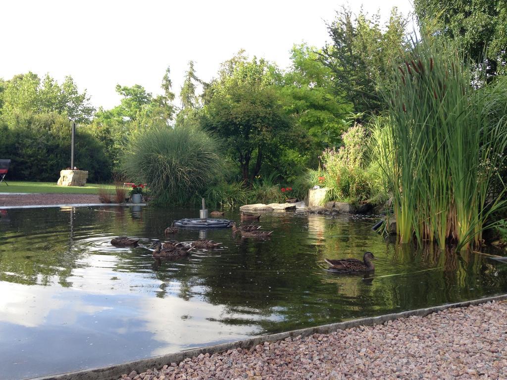 Solrosen I Simrishamn - Oesterlen ภายนอก รูปภาพ
