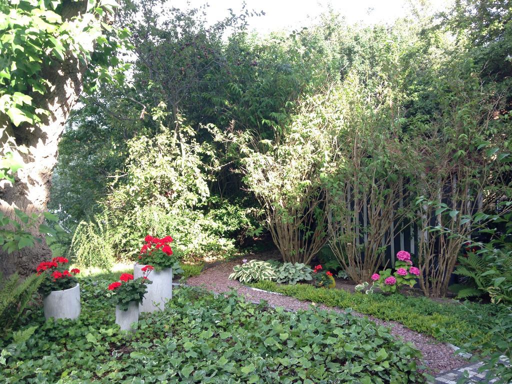 Solrosen I Simrishamn - Oesterlen ภายนอก รูปภาพ